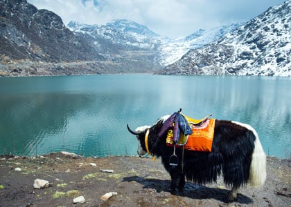 6 Days Darjeeling Gangtok Tour