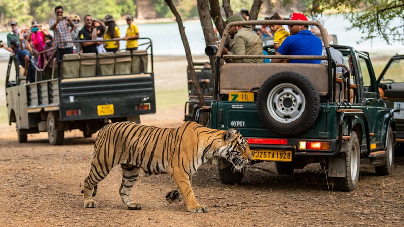 Kanha National Park