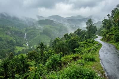 kerala Monsoon