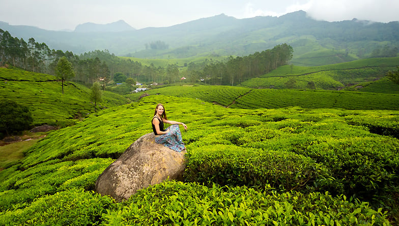 Tea plantations in Munnar