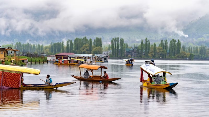 srinagar