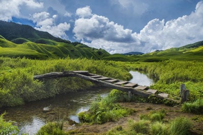 Dzukou Valley Trekking Tour