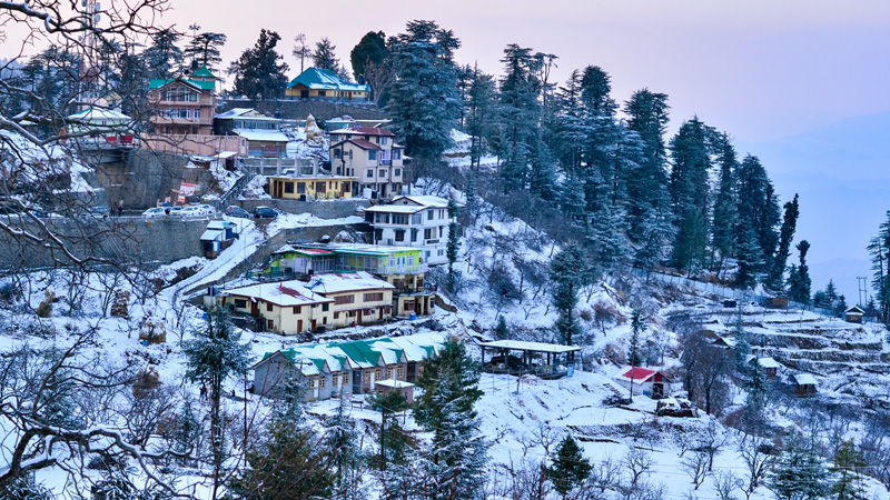 Kufri: Romantic Hill Stations near Delhi