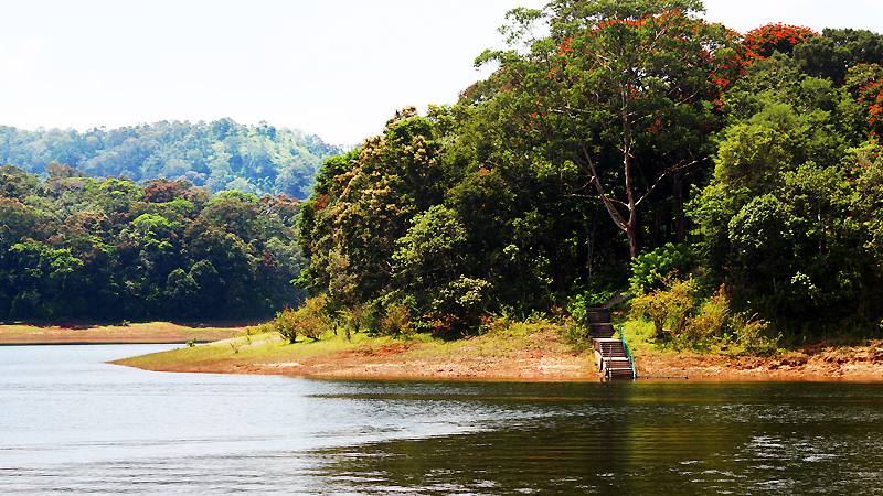 Bhimgad Wildlife Sanctuary in Karnataka