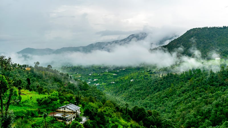 Binsar, Uttarakhand: Hill Stations near Delhi for Solo Travelling, Camping and Honeymoon