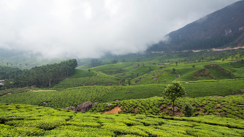 Coonoor Hill Station in Summer