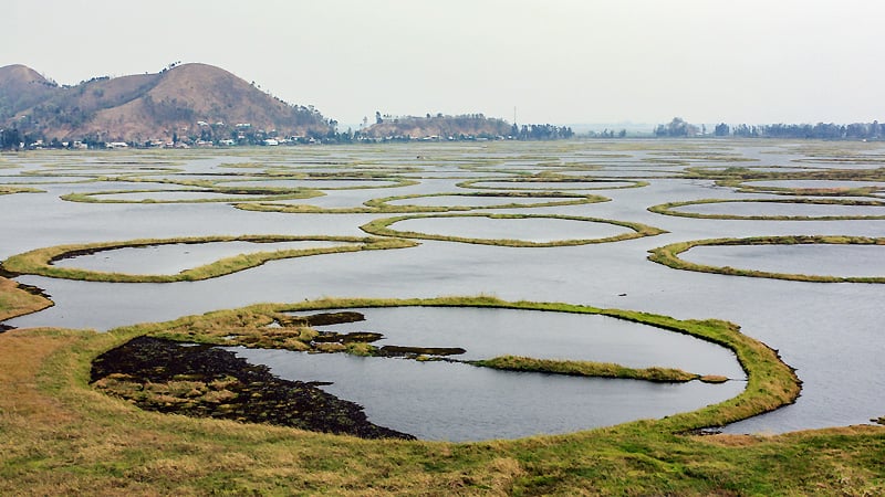Lotka lake
