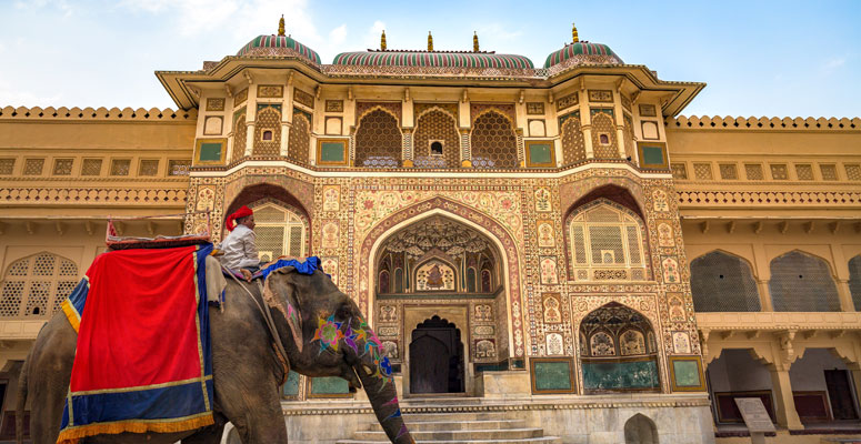 Decorated elephant with a rider standing in front of the grand arched entrance of Amber Fort near Jaipur