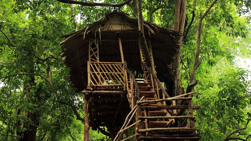 Treehouse in Kerala: romantic activities for couples in kerala