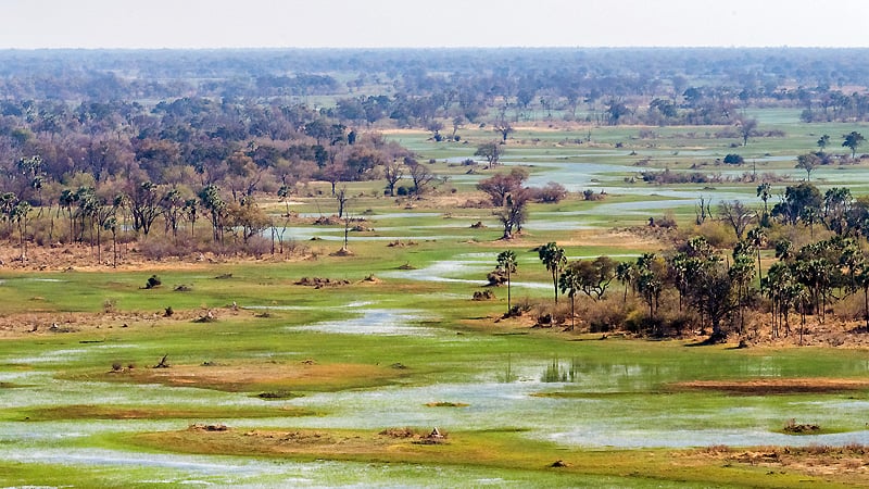 okavango-delta