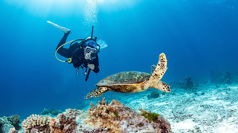 Scuba Diving in Andaman