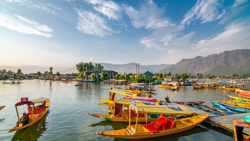 Srinagar: Family Vacation in India