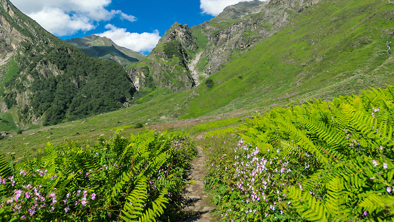 Trek-in-valley-of-flower