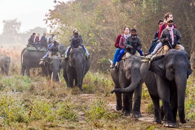 Nagaland Cultural Tour