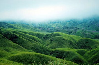 Dzukou Valley Trekking Tour