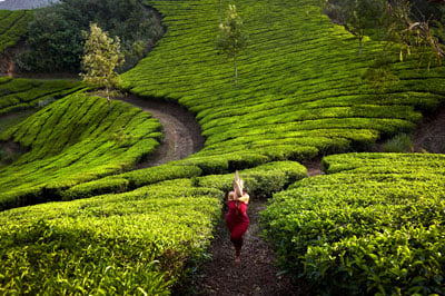Kerala Budget Tour