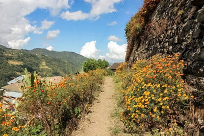 Dzukou Valley