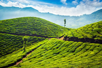 Munnar
