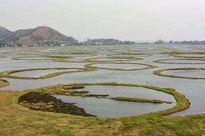 Nagaland with Manipur