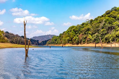 Thekkady