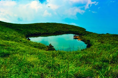 Wayanad Tour Packages