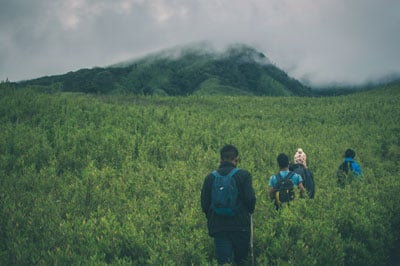 Nagaland spring landscape and nature travel