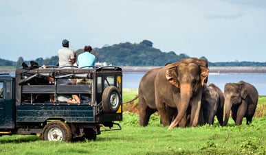 Majestic Sri Lanka Tour
